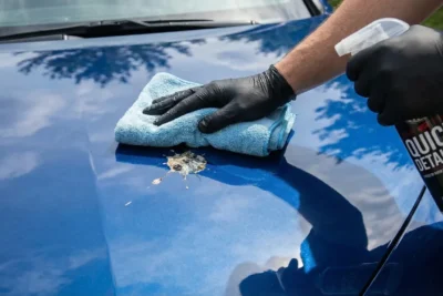 limpiar excrementos pajaro coche guia rapida y efectiva