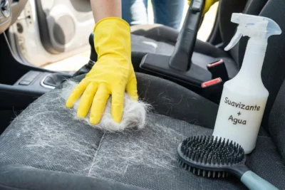 quitar pelos perro coche trucos sencillos y efectivos